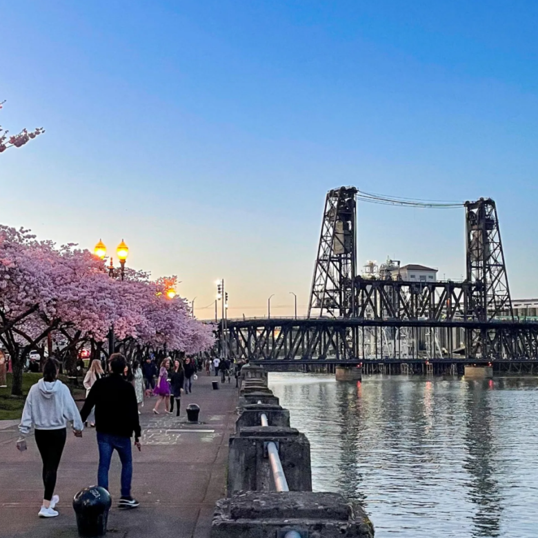 5 Portland Spring Market Myths